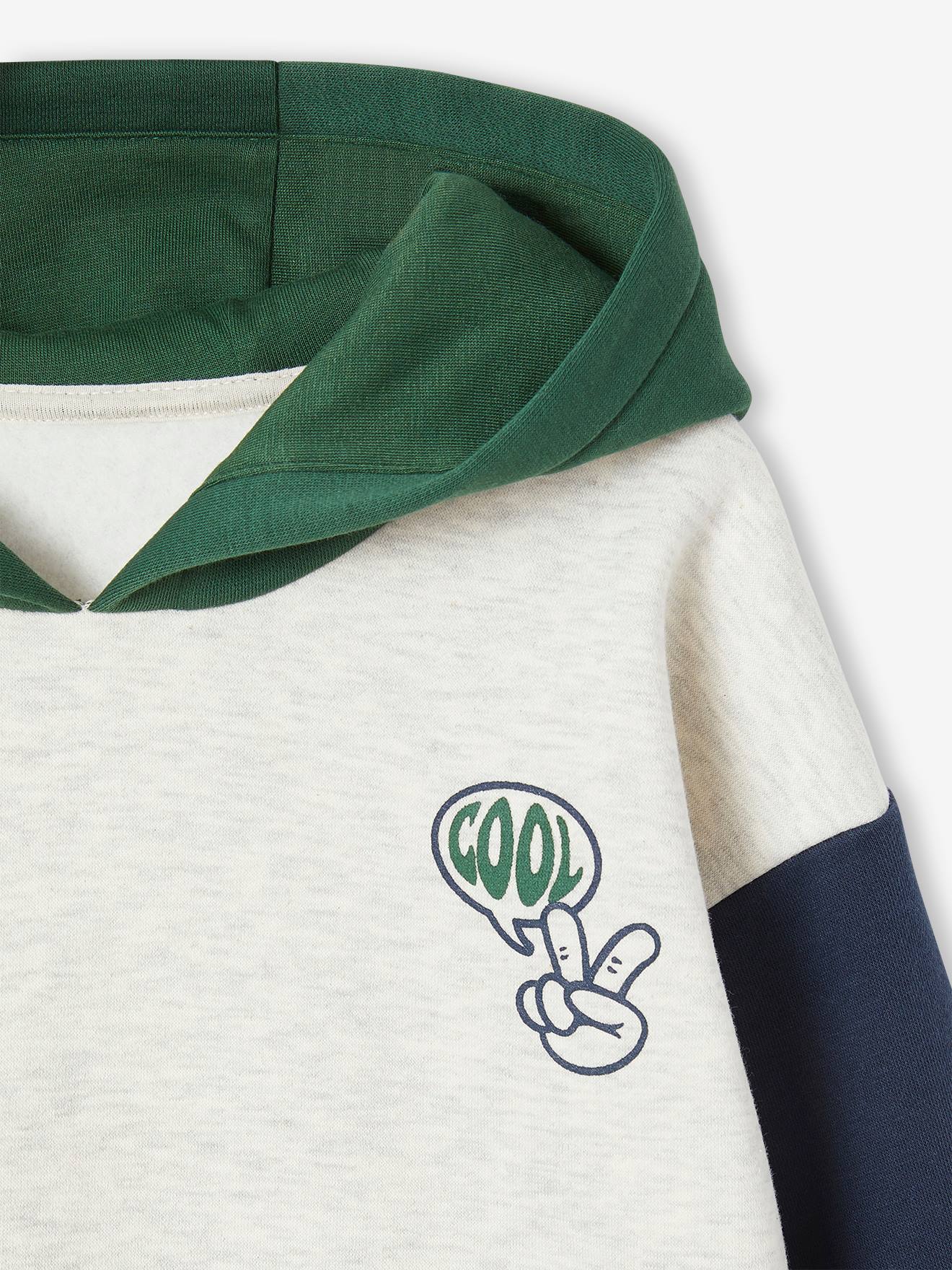 https://kids-avenue.com.ua/pages/gallery/6355/sweat-a-capuche-colorblock-garcon (2).jpg